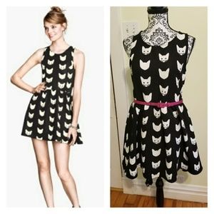 (H&M) Black Cat Mini Skater Dress
